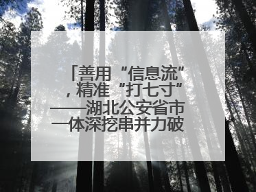 善用“信息流”，精准“打七寸”——湖北公安省市一体深挖串并力破民生案