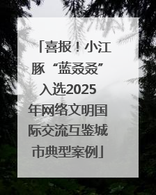 喜报！小江豚“蓝叒叒”入选2025年网络文明国际交流互鉴城市典型案例