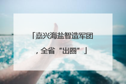 嘉兴海盐智造军团，全省“出圈”