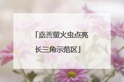 嘉善萤火虫点亮长三角示范区