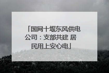 国网十堰东风供电公司：支部共建 居民用上安心电