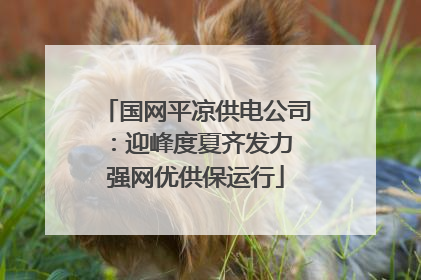 国网平凉供电公司：迎峰度夏齐发力 强网优供保运行