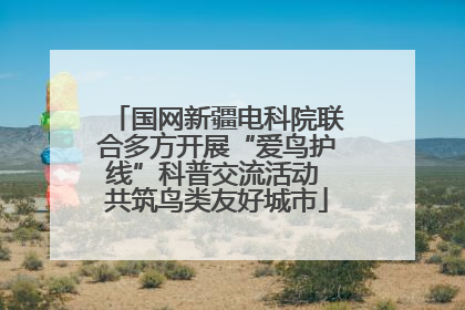 国网新疆电科院联合多方开展“爱鸟护线”科普交流活动 共筑鸟类友好城市