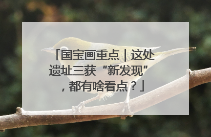 国宝画重点｜这处遗址三获“新发现”，都有啥看点？