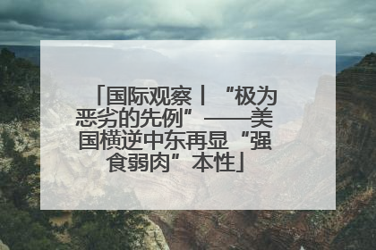 国际观察丨“极为恶劣的先例”——美国横逆中东再显“强食弱肉”本性