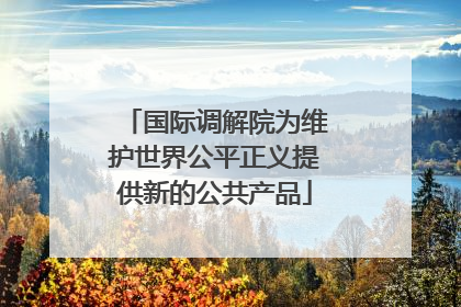 国际调解院为维护世界公平正义提供新的公共产品