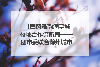 国风雅韵润亭城 校地合作谱新篇——团市委联合滁州城市职业学院助力传统文化“破圈”绽放