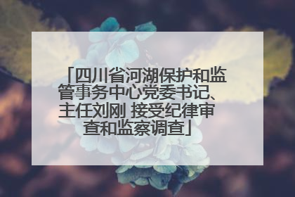 四川省河湖保护和监管事务中心党委书记、主任刘刚 接受纪律审查和监察调查