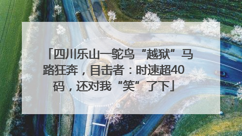 四川乐山一鸵鸟“越狱”马路狂奔，目击者：时速超40码，还对我“笑”了下