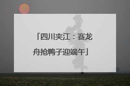 四川夹江：赛龙舟抢鸭子迎端午