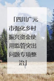 四川广元市强化乡村振兴资金使用监管突出问题专项整治