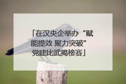 在汉央企举办“赋能提效 聚力突破”党建比武揭榜赛