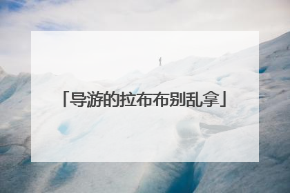 导游的拉布布别乱拿