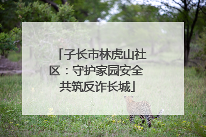 子长市林虎山社区：守护家园安全 共筑反诈长城