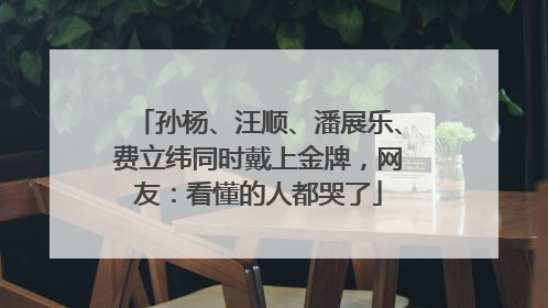 孙杨、汪顺、潘展乐、费立纬同时戴上金牌，网友：看懂的人都哭了