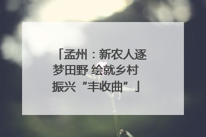 孟州：新农人逐梦田野 绘就乡村振兴“丰收曲”