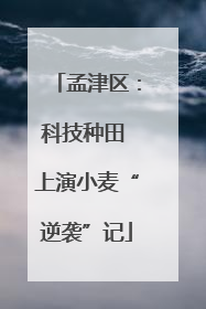 孟津区：科技种田 上演小麦“逆袭”记