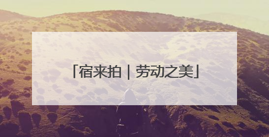 宿来拍｜劳动之美