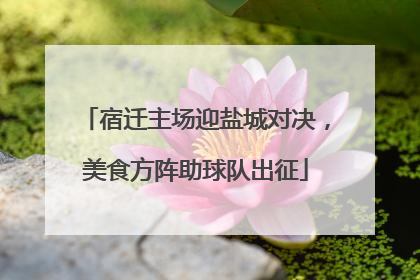 宿迁主场迎盐城对决，美食方阵助球队出征