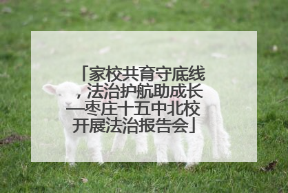家校共育守底线，法治护航助成长—枣庄十五中北校开展法治报告会