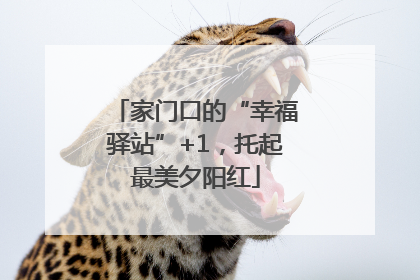 家门口的“幸福驿站”+1，托起最美夕阳红