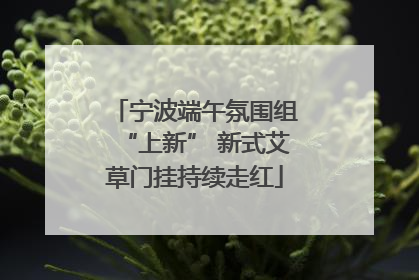 宁波端午氛围组“上新” 新式艾草门挂持续走红