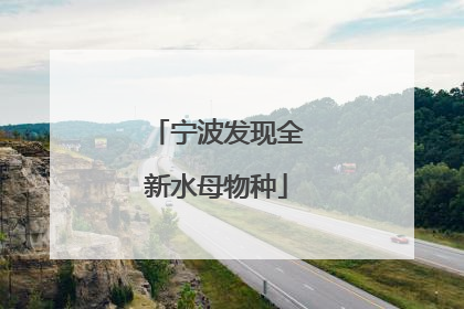 宁波发现全新水母物种