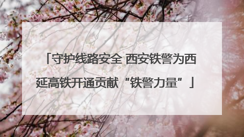 守护线路安全 西安铁警为西延高铁开通贡献“铁警力量”