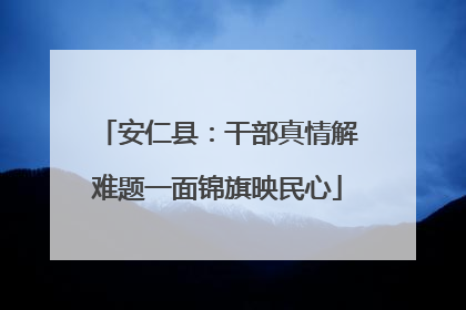 安仁县：干部真情解难题一面锦旗映民心