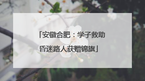 安徽合肥：学子救助昏迷路人获赠锦旗