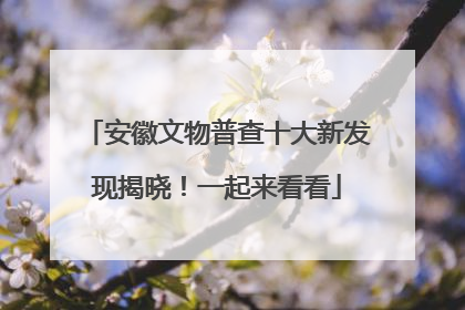 安徽文物普查十大新发现揭晓！一起来看看