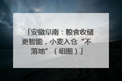 安徽阜南：粮食收储更智能，小麦入仓“不落地”（组图）