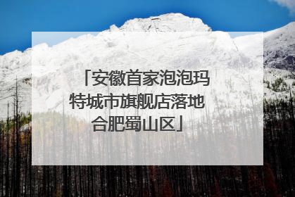 安徽首家泡泡玛特城市旗舰店落地合肥蜀山区