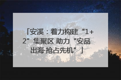安溪：着力构建“1+2”集聚区 助力“安品出海·抢占先机”