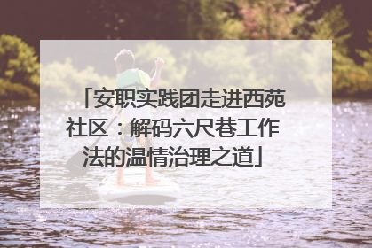 安职实践团走进西苑社区：解码六尺巷工作法的温情治理之道