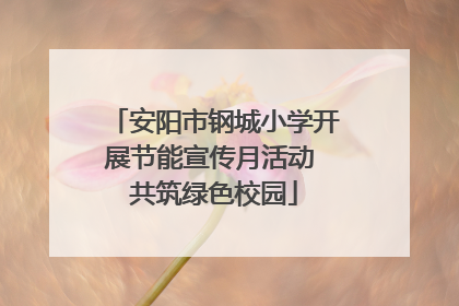 安阳市钢城小学开展节能宣传月活动 共筑绿色校园