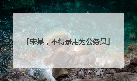 宋某，不得录用为公务员