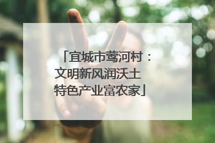 宜城市莺河村：文明新风润沃土 特色产业富农家