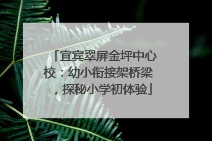 宜宾翠屏金坪中心校：幼小衔接架桥梁，探秘小学初体验