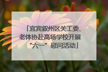 宜宾叙州区关工委、老体协赴高场学校开展“六一”慰问活动