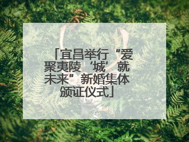 宜昌举行“爱聚夷陵‘城’就未来”新婚集体颁证仪式