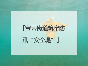 宝云街道筑牢防汛“安全堤”