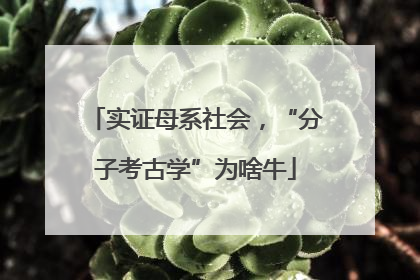 实证母系社会，“分子考古学”为啥牛