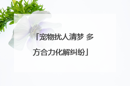 宠物扰人清梦 多方合力化解纠纷
