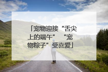 宠物迎接“舌尖上的端午” “宠物粽子”受喜爱