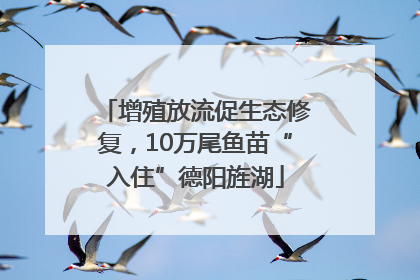 增殖放流促生态修复，10万尾鱼苗“入住”德阳旌湖