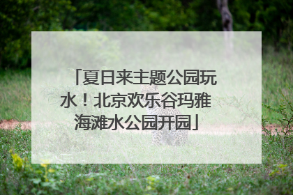 夏日来主题公园玩水！北京欢乐谷玛雅海滩水公园开园
