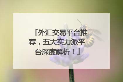 外汇交易平台推荐，五大实力派平台深度解析！