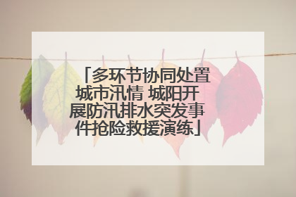 多环节协同处置城市汛情 城阳开展防汛排水突发事件抢险救援演练