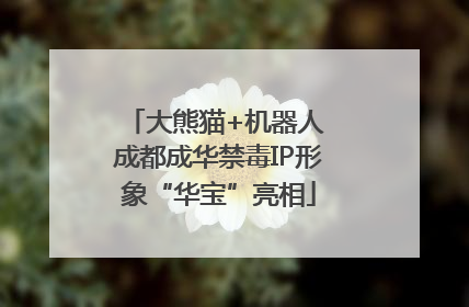 大熊猫+机器人 成都成华禁毒IP形象“华宝”亮相